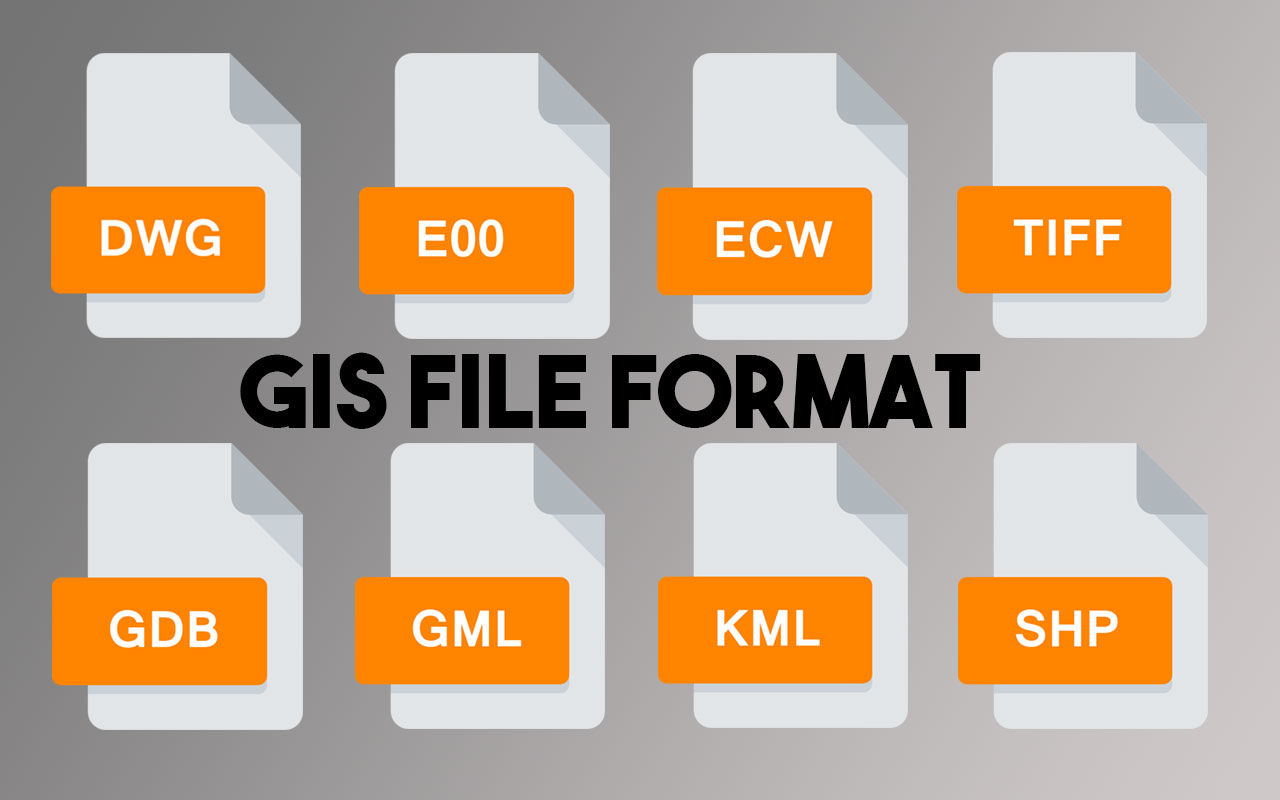 List of Common GIS File Format