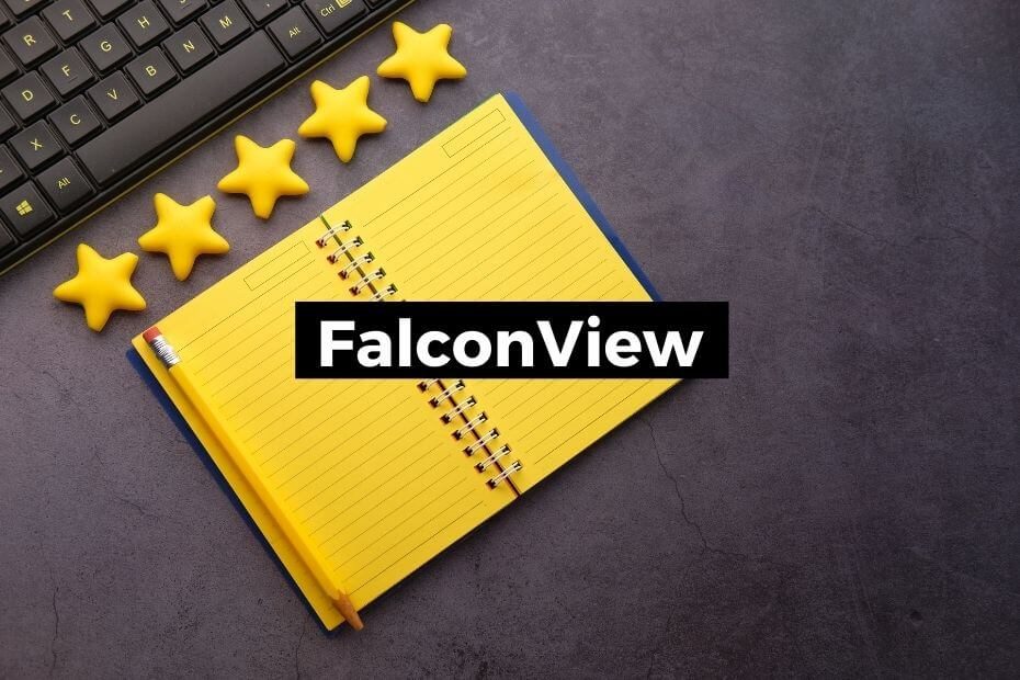 FalconView Aviation Professionals