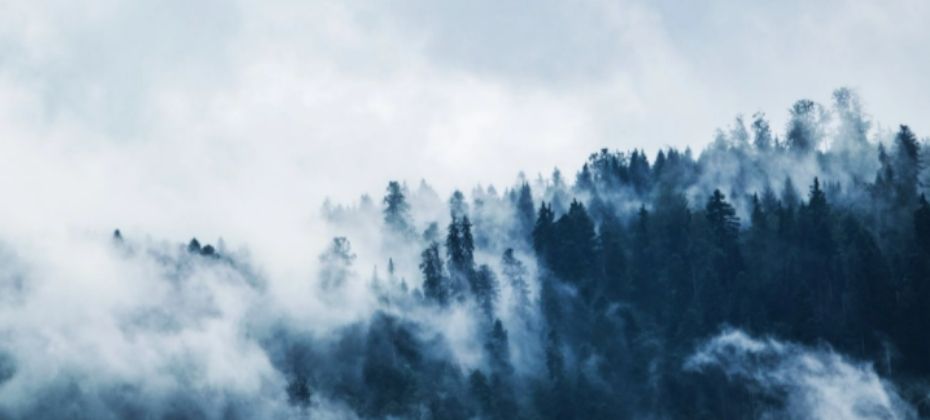 Weather and Terrain Information