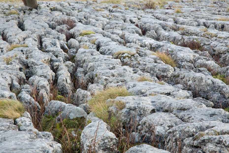 Limestone Pavement