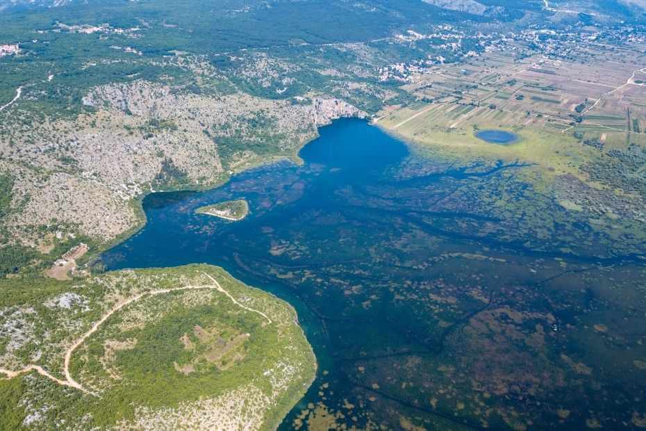 Polje