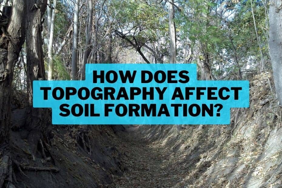 How Does Topography Affect Soil Formation