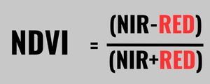 NDVI Formula