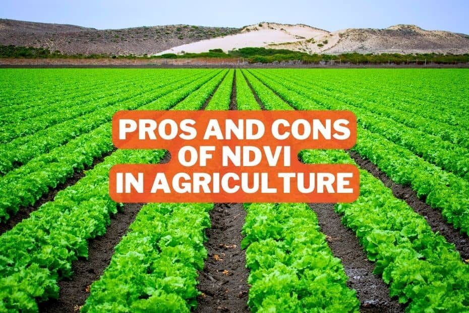 Pros and Cons of NDVI In Agriculture