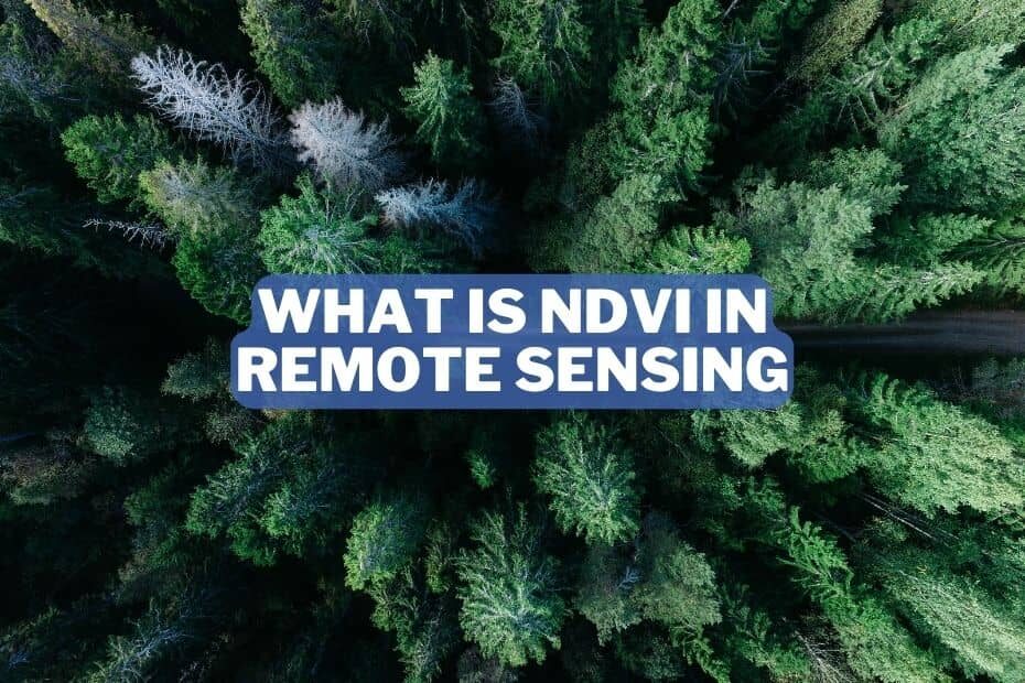 What Is NDVI In Remote Sensing