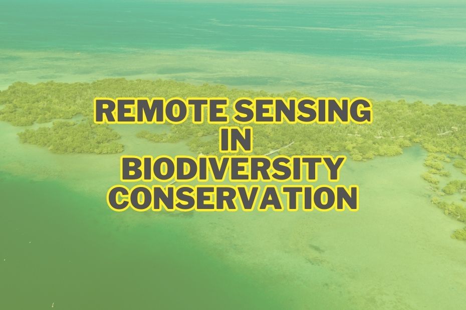 Applications of Remote Sensing In Biodiversity Conservation