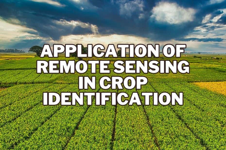 Application of Remote Sensing In Crop Identification