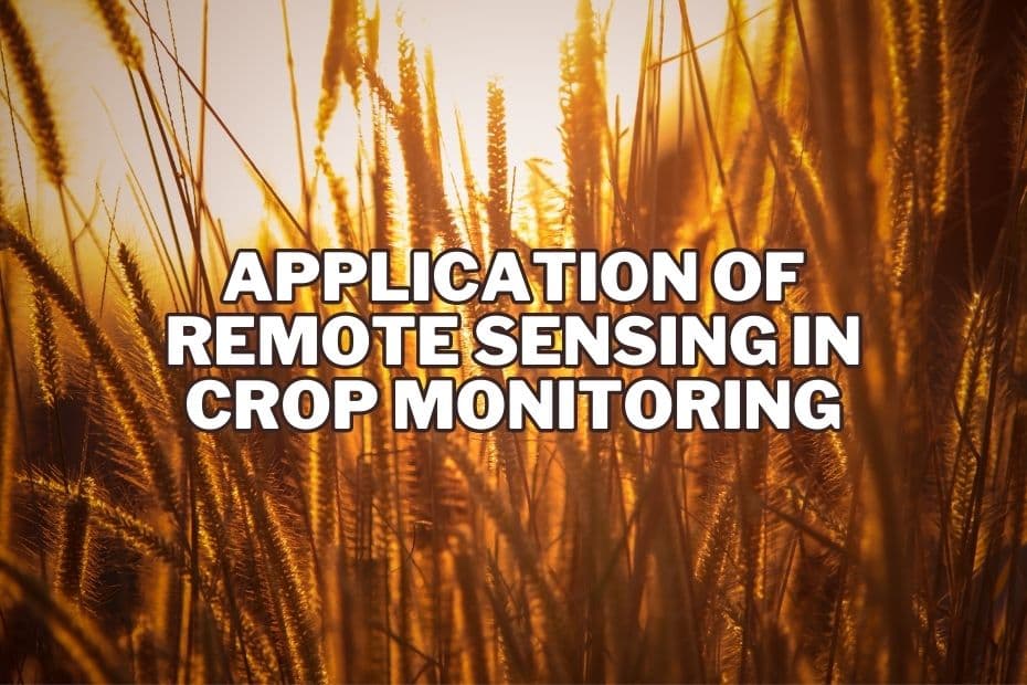 Application of Remote Sensing In Crop Monitoring