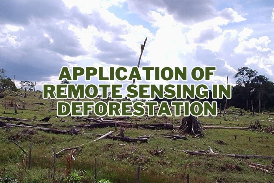 Application of Remote Sensing In Deforestation