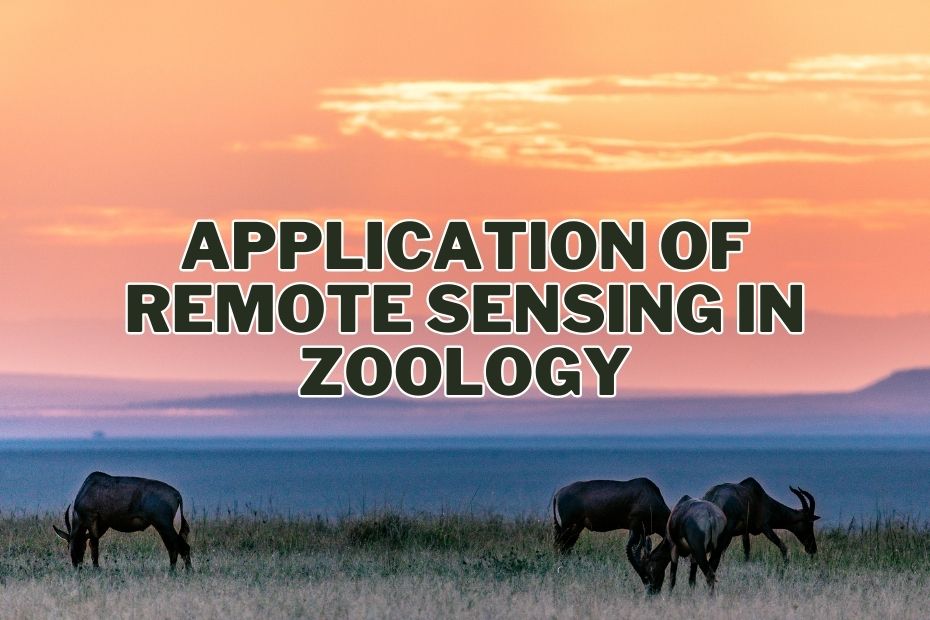 Application of Remote Sensing In Zoology