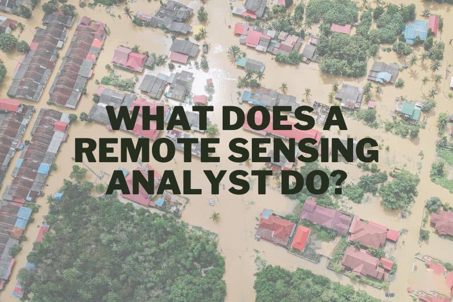 Remote Sensing Analyst