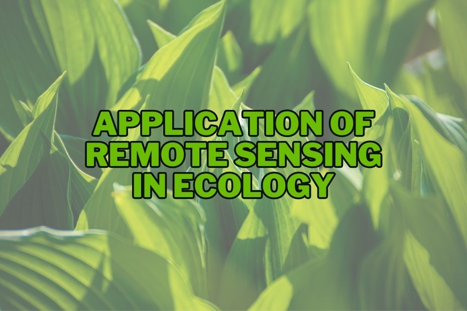 Application of Remote Sensing In Ecology