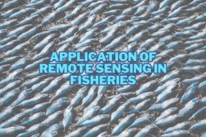 Application of Remote Sensing In Fisheries