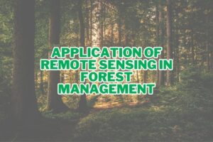 9 Application of Remote Sensing In Forest Management | Spatial Post