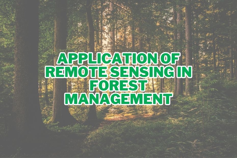 Application of Remote Sensing In Forest Management