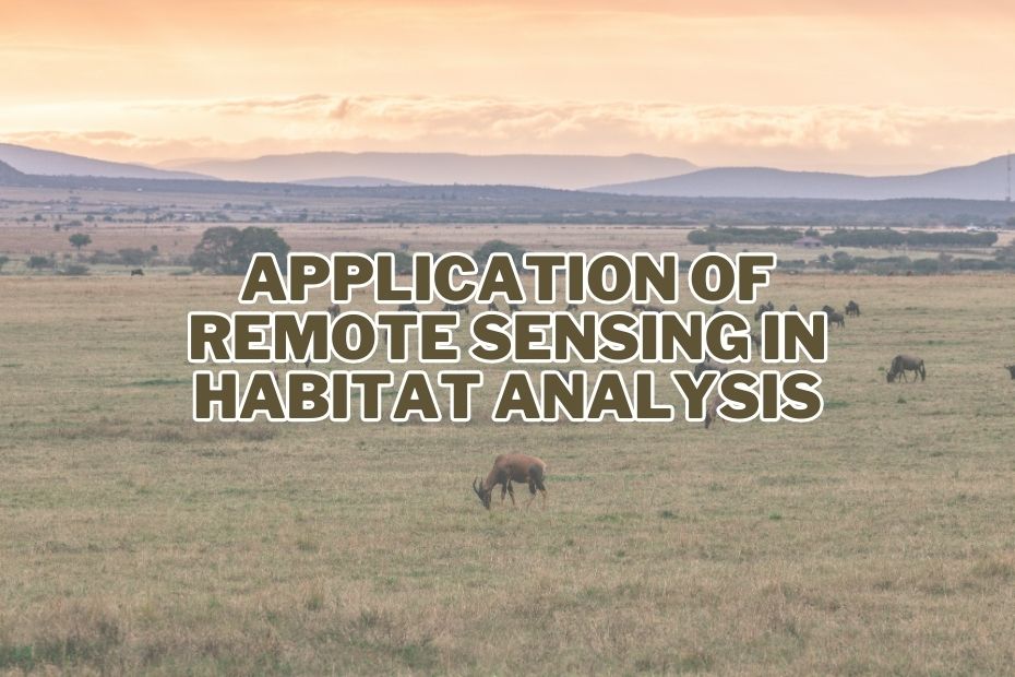 Application of Remote Sensing In Habitat Analysis