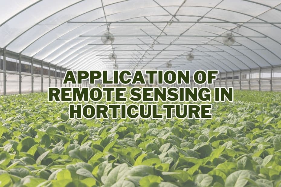 Application of Remote Sensing In Horticulture