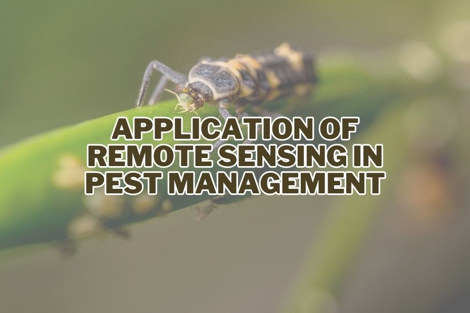 Application of Remote Sensing In Pest Management