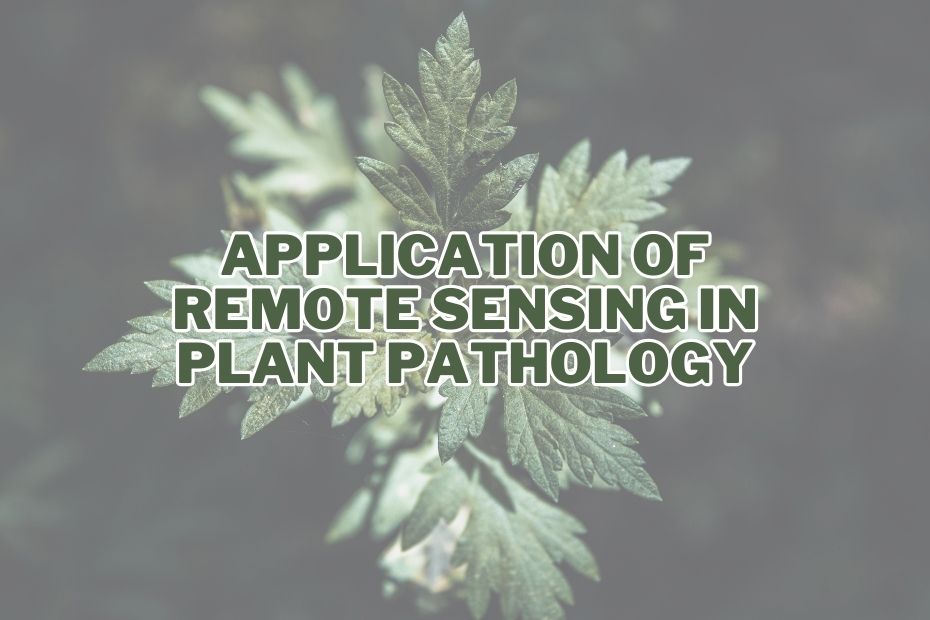 Application of Remote Sensing In Plant Pathology