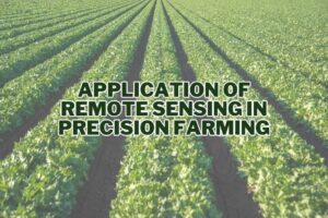 Application of Remote Sensing In Precision Farming