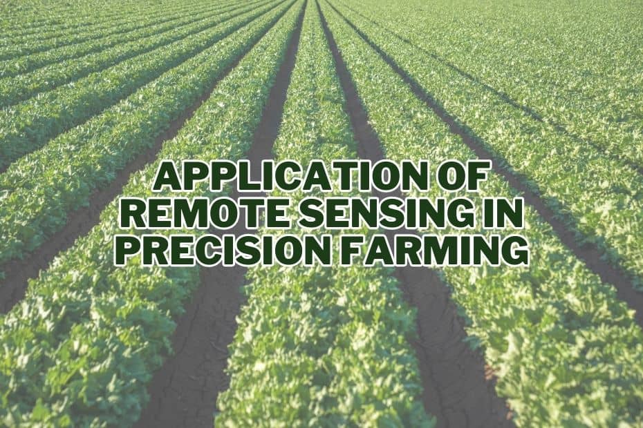 Application of Remote Sensing In Precision Farming