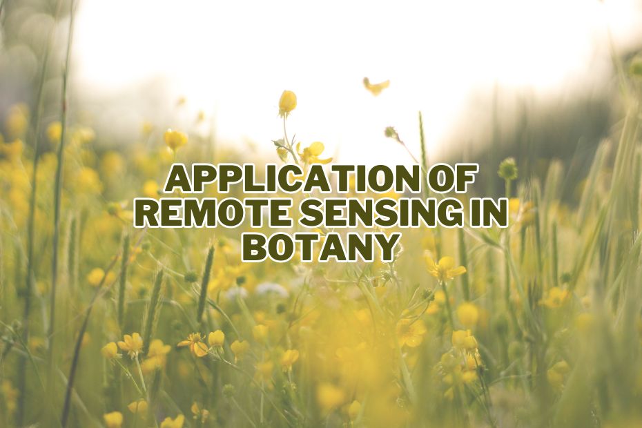 Application of Remote Sensing In Botany