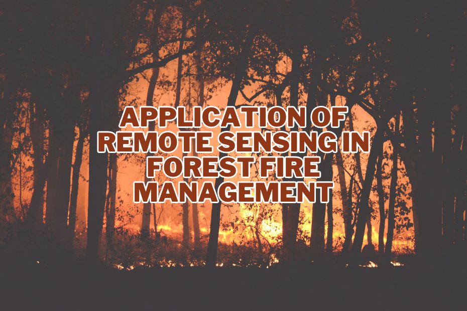 Application of Remote Sensing In Forest Fire Management