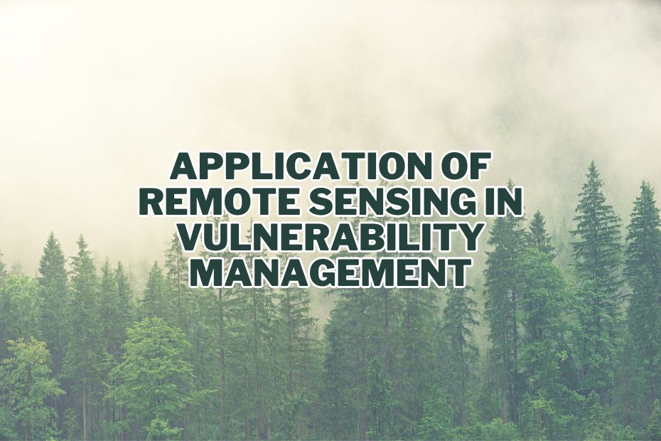 Application of Remote Sensing In Vulnerability Management
