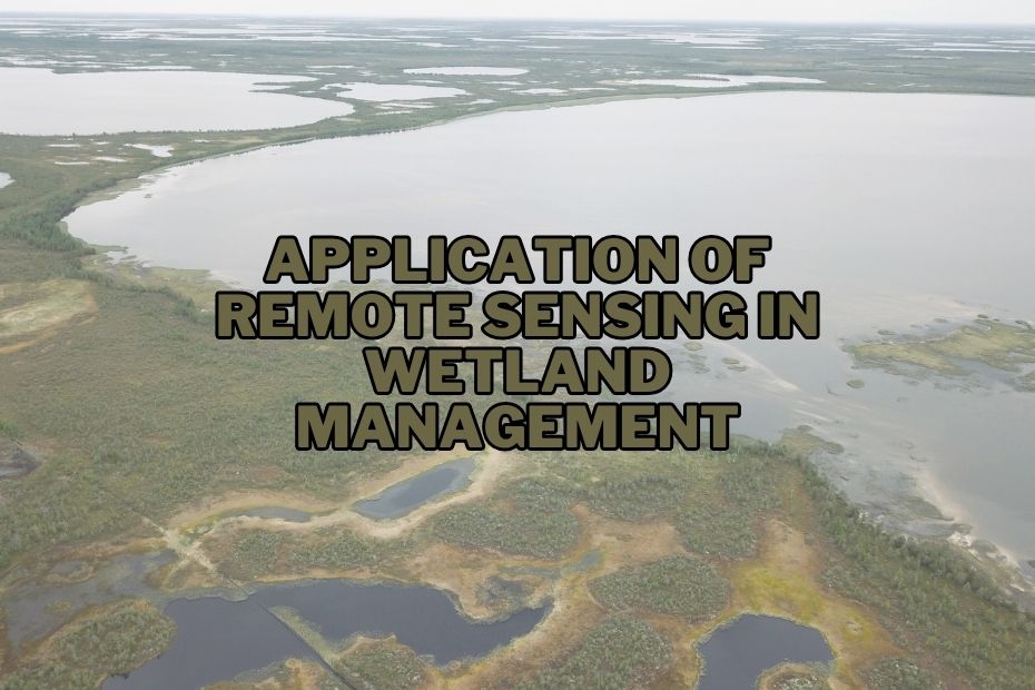Application of Remote Sensing In Wetland Management