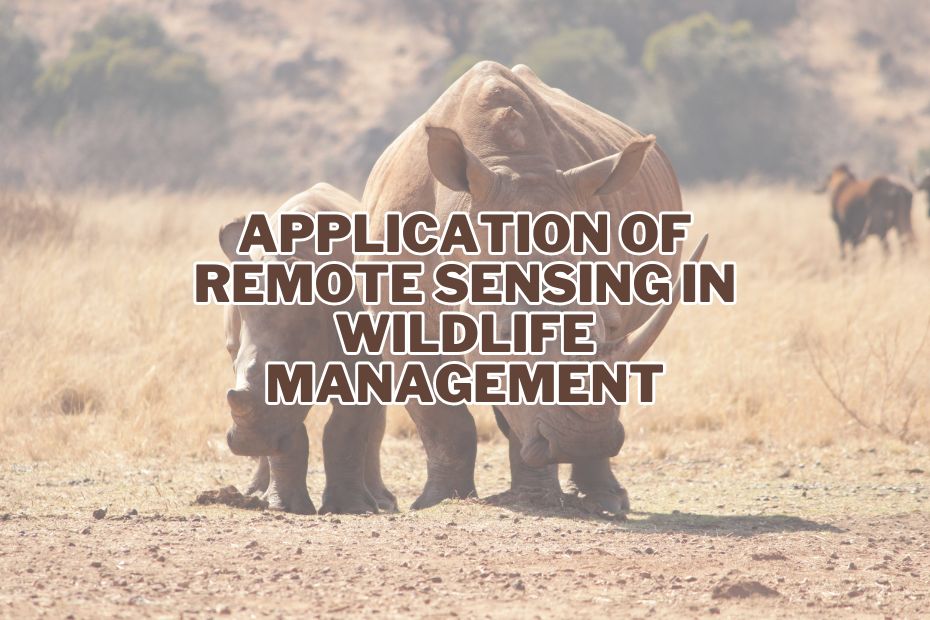 Application of Remote Sensing In Wildlife Management