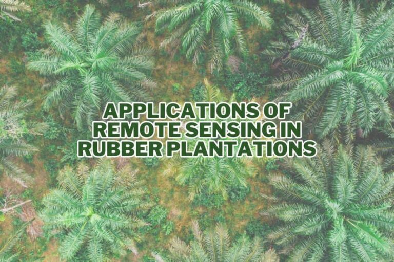 11+ Application of Remote Sensing In Rubber Plantation | Spatial Post