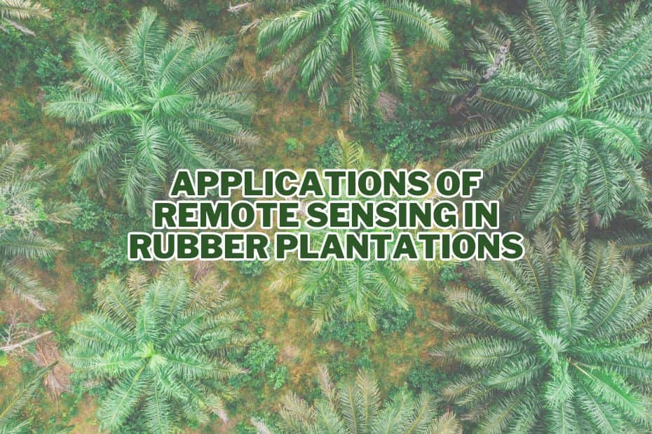 Application of Remote Sensing In Rubber Plantation