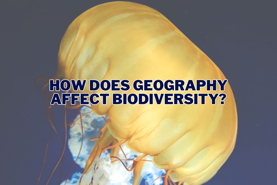 How Does Geography Affect Biodiversity