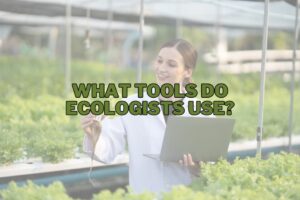What Tools Do Ecologists Use