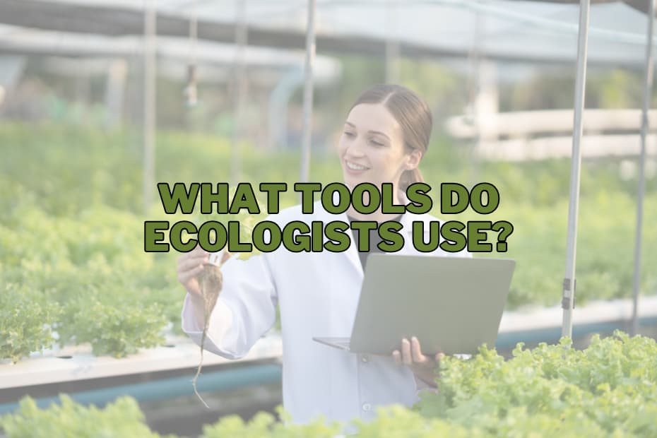 What Tools Do Ecologists Use